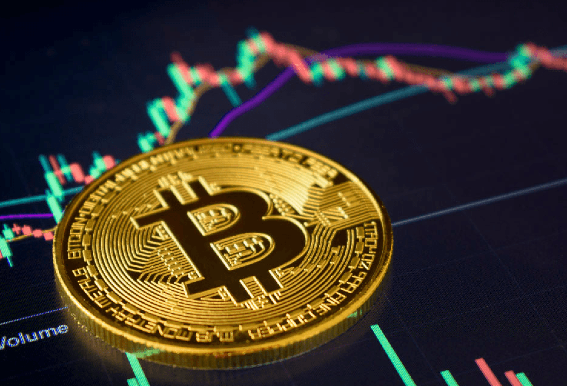 photo of Gray Commander